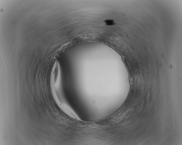 X0000078261250200611251320