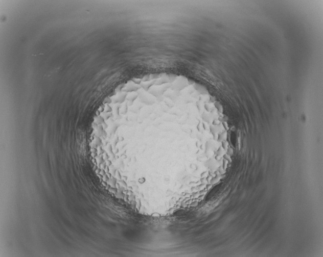 X0000078261251200611251320