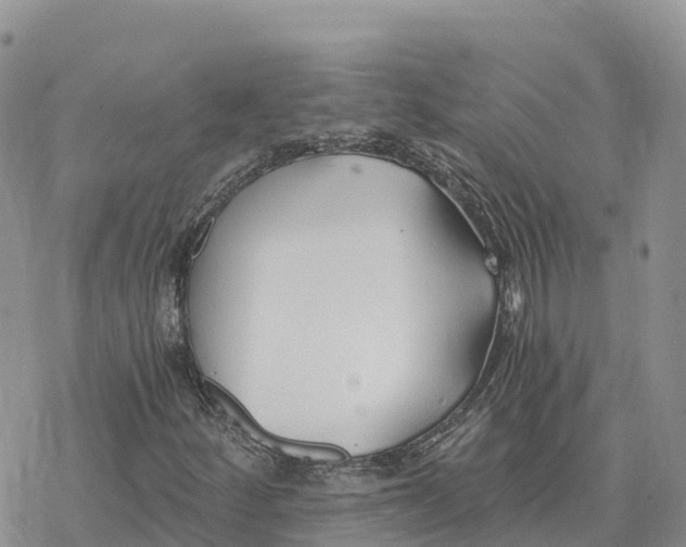 X0000078261252200611251320