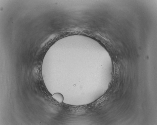 X0000078261254200611251320