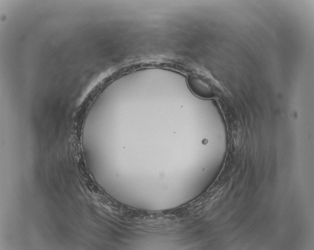 X0000078261256200611251320