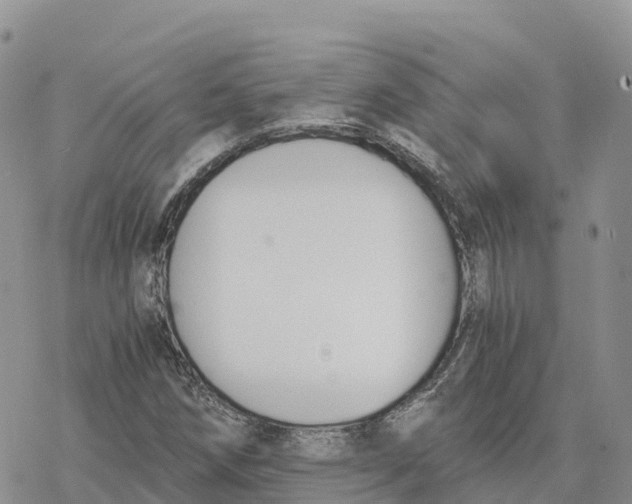 X0000078261258200611251320