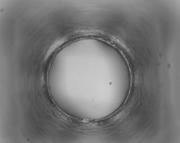 X0000078261261200611251320