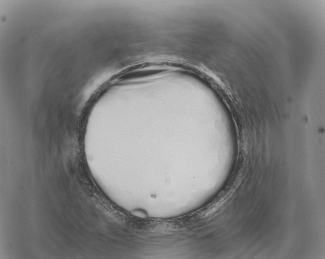 X0000078261263200611251320