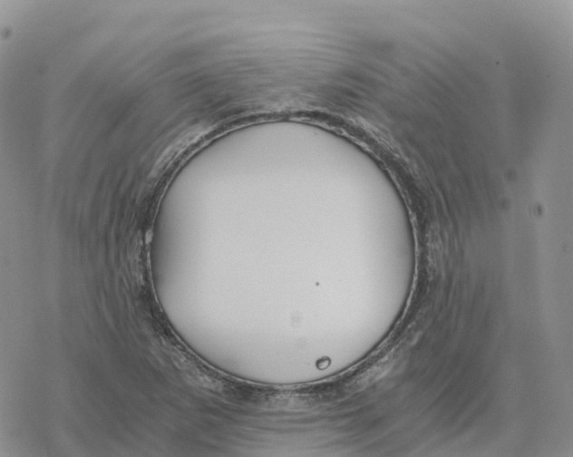 X0000078261265200611251320