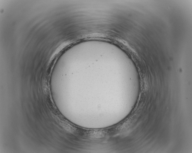 X0000078261266200611251320