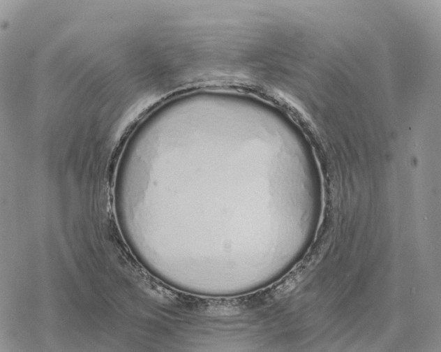 X0000078261267200611251319