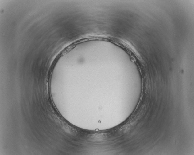 X0000078261268200611251319