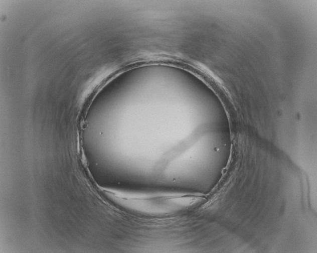 X0000078261269200611251319