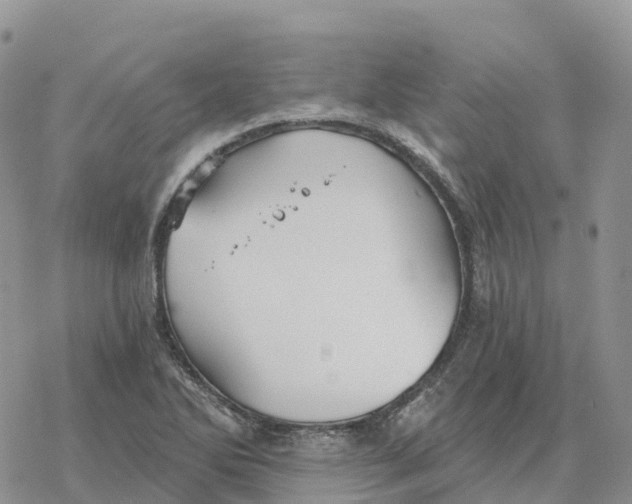 X0000078261270200611251319