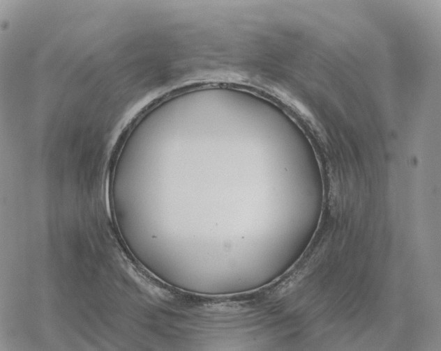 X0000078261272200611251319