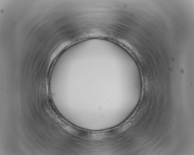 X0000078261274200611251319