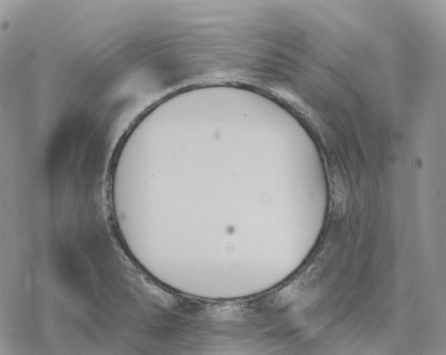 X0000078261278200611251319