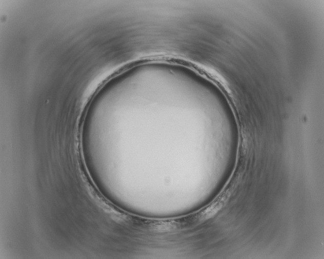 X0000078261279200611251319