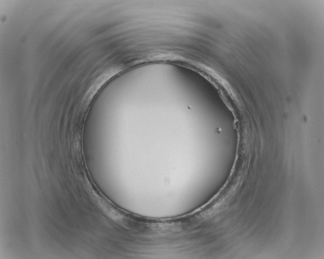 X0000078261281200611251319