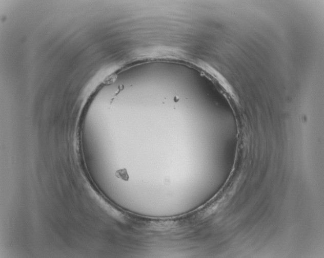 X0000078261285200611251319