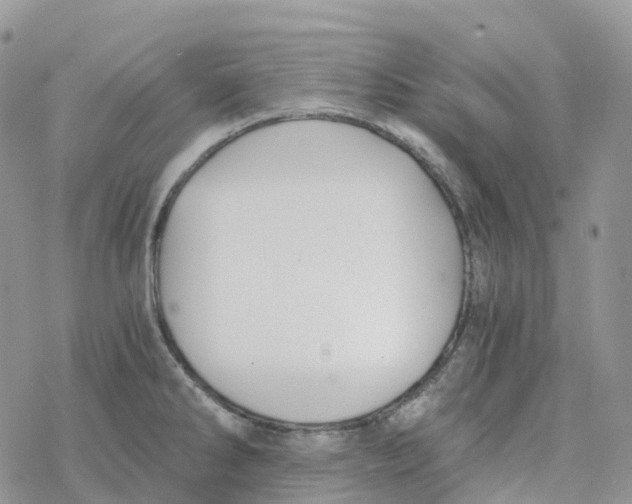 X0000078261286200611251319