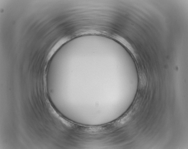 X0000078261290200611251319