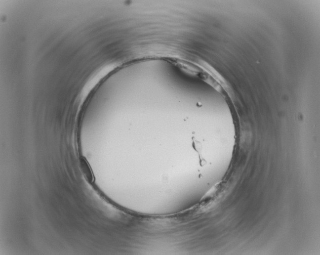 X0000078261293200611251319