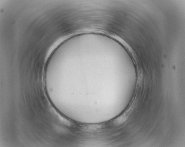 X0000078261294200611251319