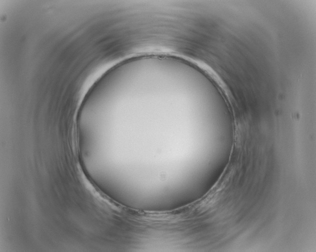 X0000078261295200611251319