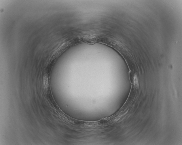 X0000078261299200611251318