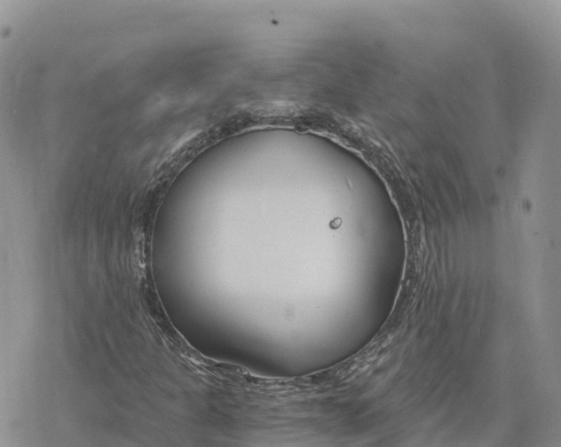 X0000078261301200611251318