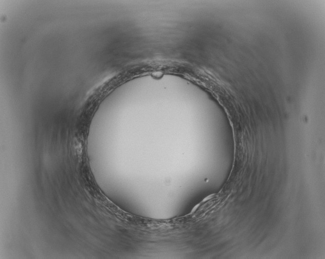 X0000078261302200611251318