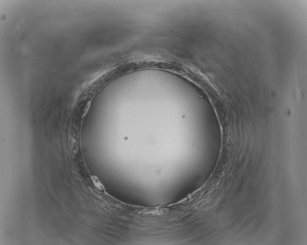 X0000078261303200611251318