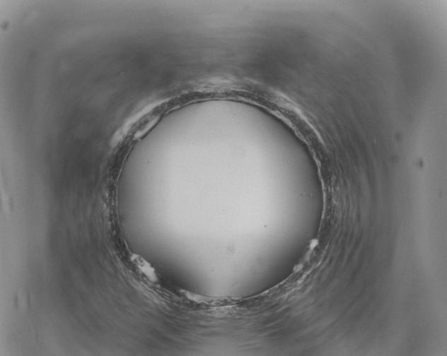 X0000078261304200611251318