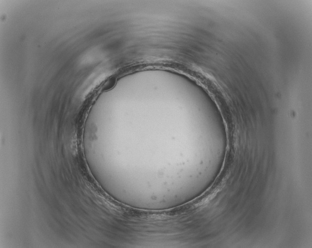 X0000078261306200611251318