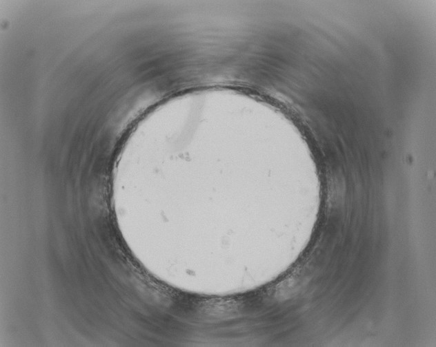 X0000078261314200611251319