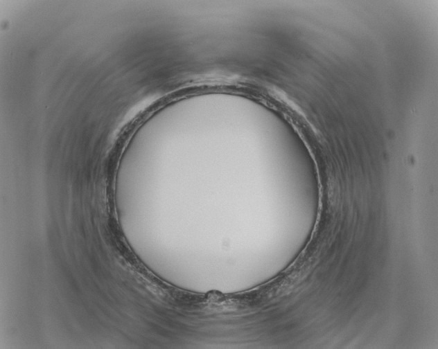 X0000078261315200611251319