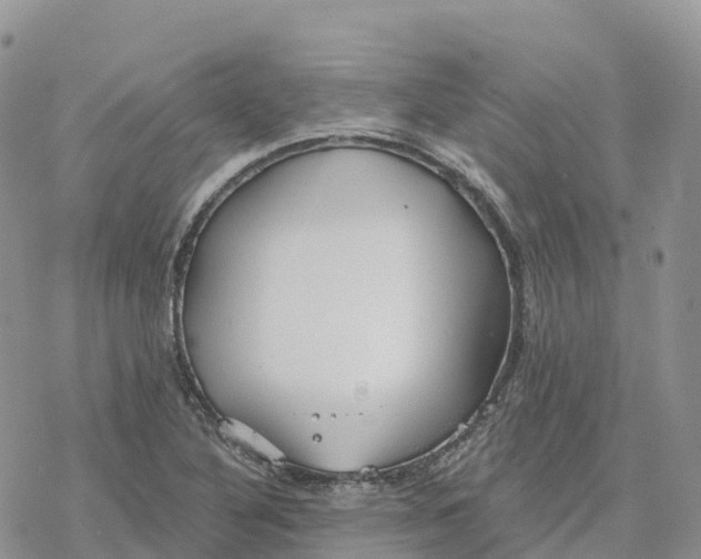 X0000078261316200611251319