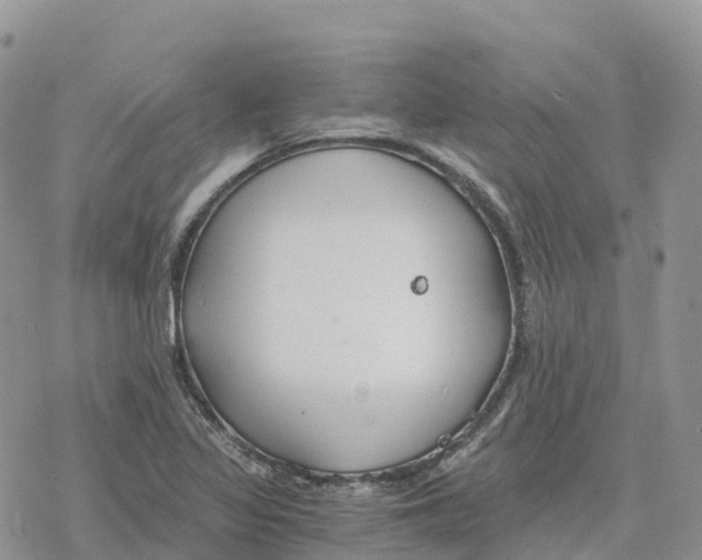 X0000078261317200611251319