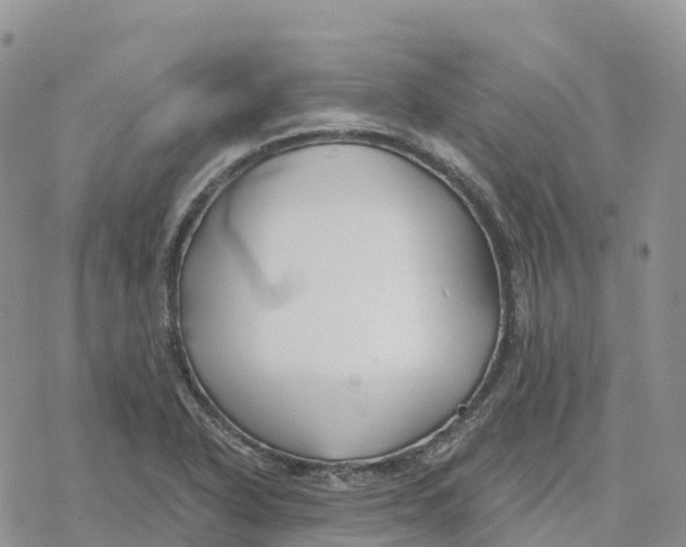 X0000078261318200611251319