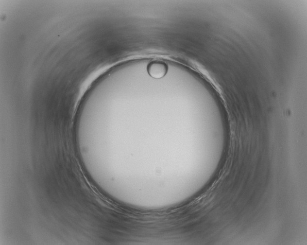 X0000078261320200611251319