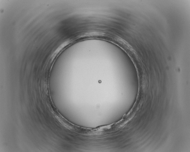 X0000078261321200611251319