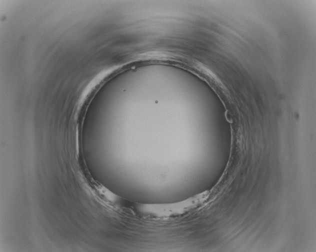 X0000078261323200611251319