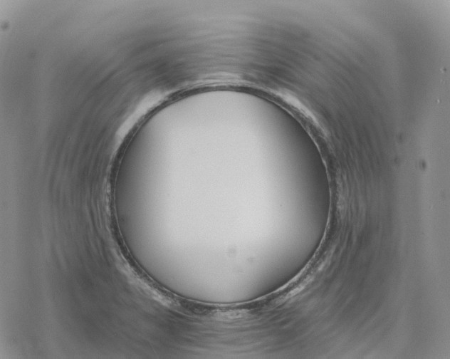 X0000078261325200611251319