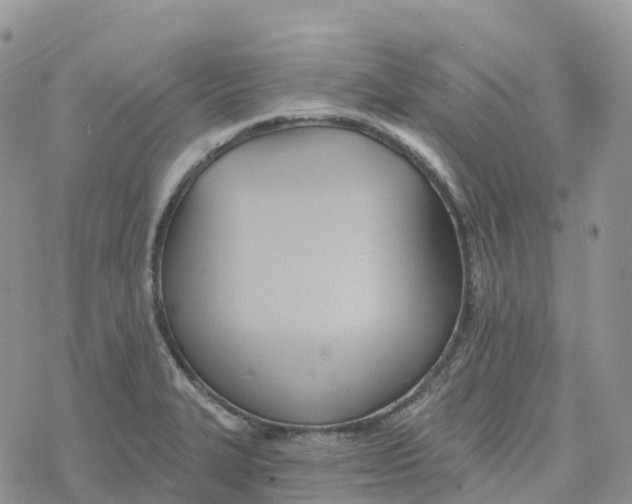 X0000078261327200611251319