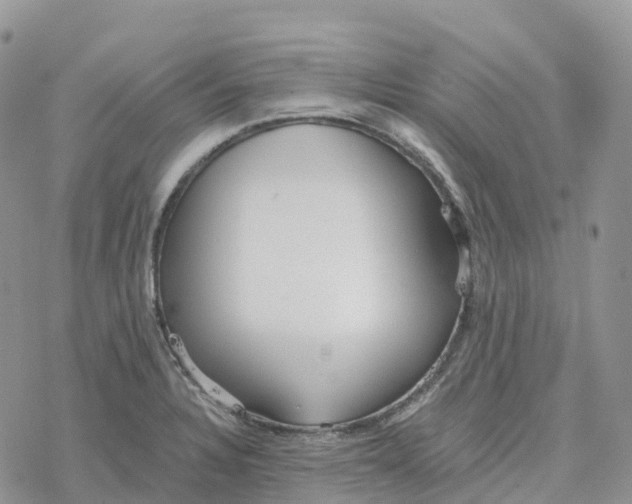 X0000078261328200611251319