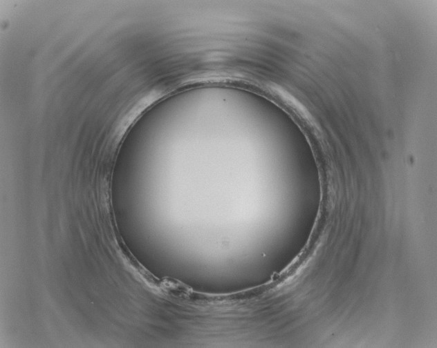 X0000078261329200611251319