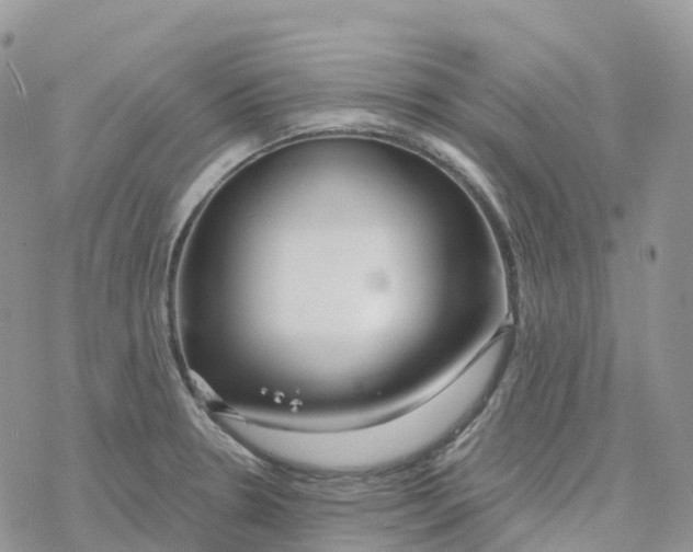 X0000078261330200611251319