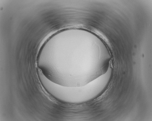 X0000078261332200611251319