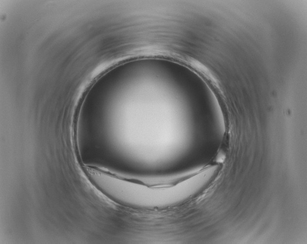 X0000078261334200611251319