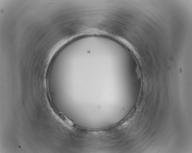 X0000078261335200611251319