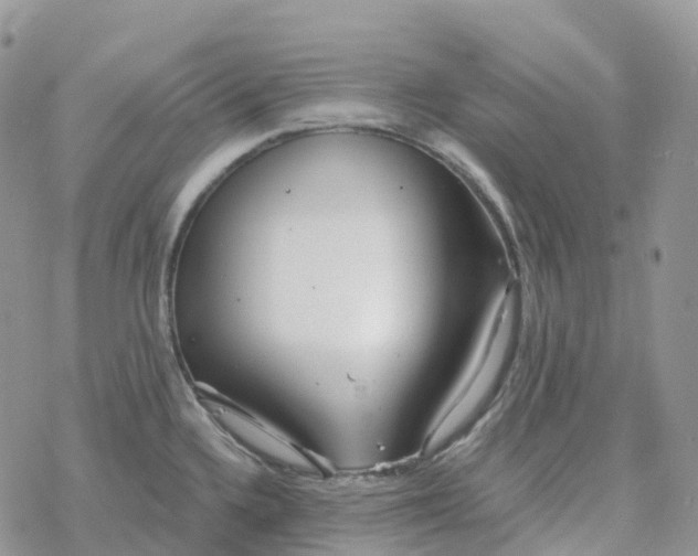 X0000078261336200611251319