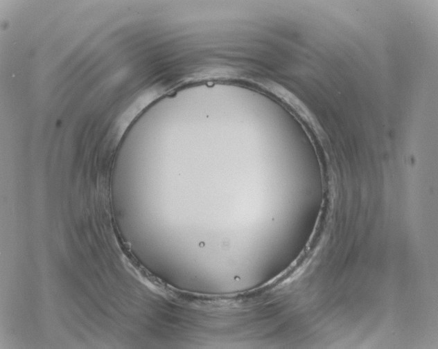 X0000078261337200611251319