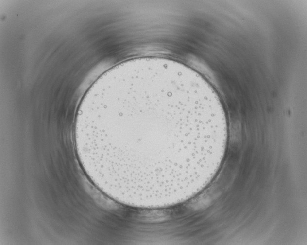 X0000078261338200611251319